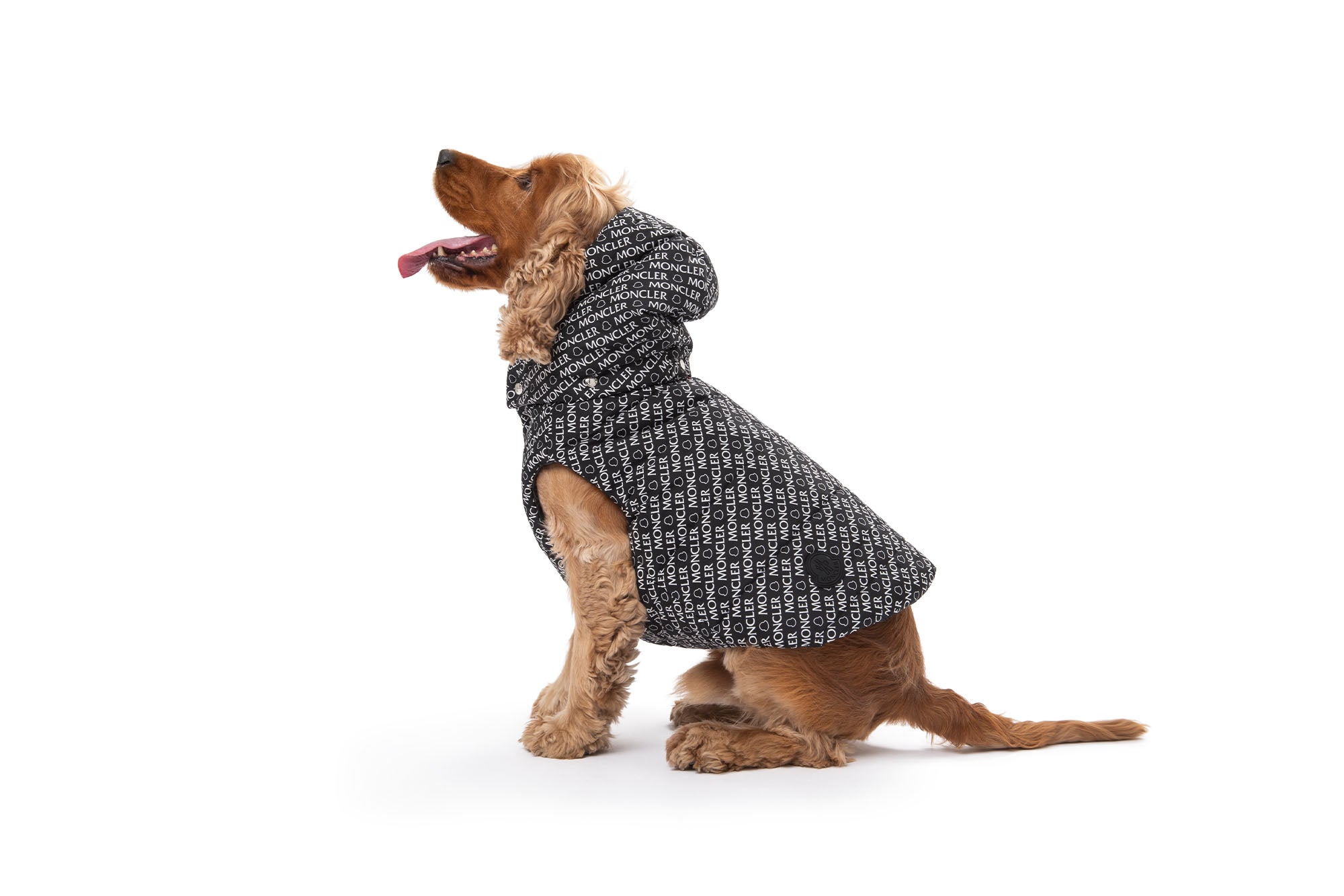 POLDO X MONCLER – Poldo Dog Couture