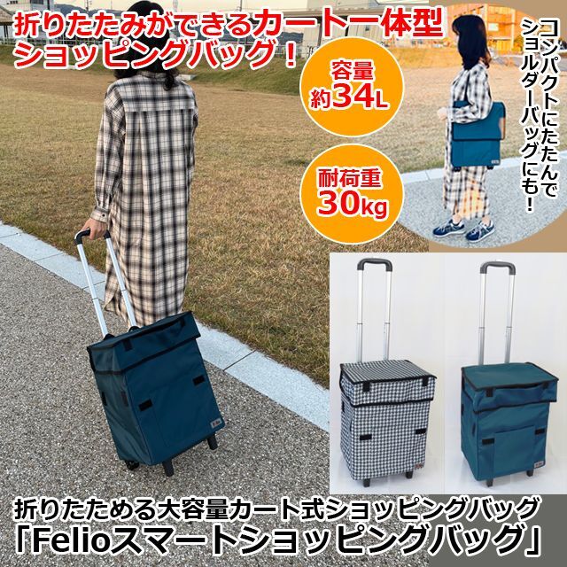 JAL 1000個限定 シートファブリック ショルダーバック ポーチ3点セット