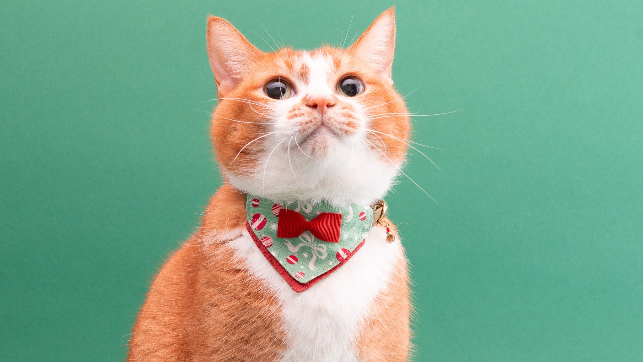 クリスマスシリーズ(緑靴下)わんちゃん猫ちゃん用首輪 クリスマス