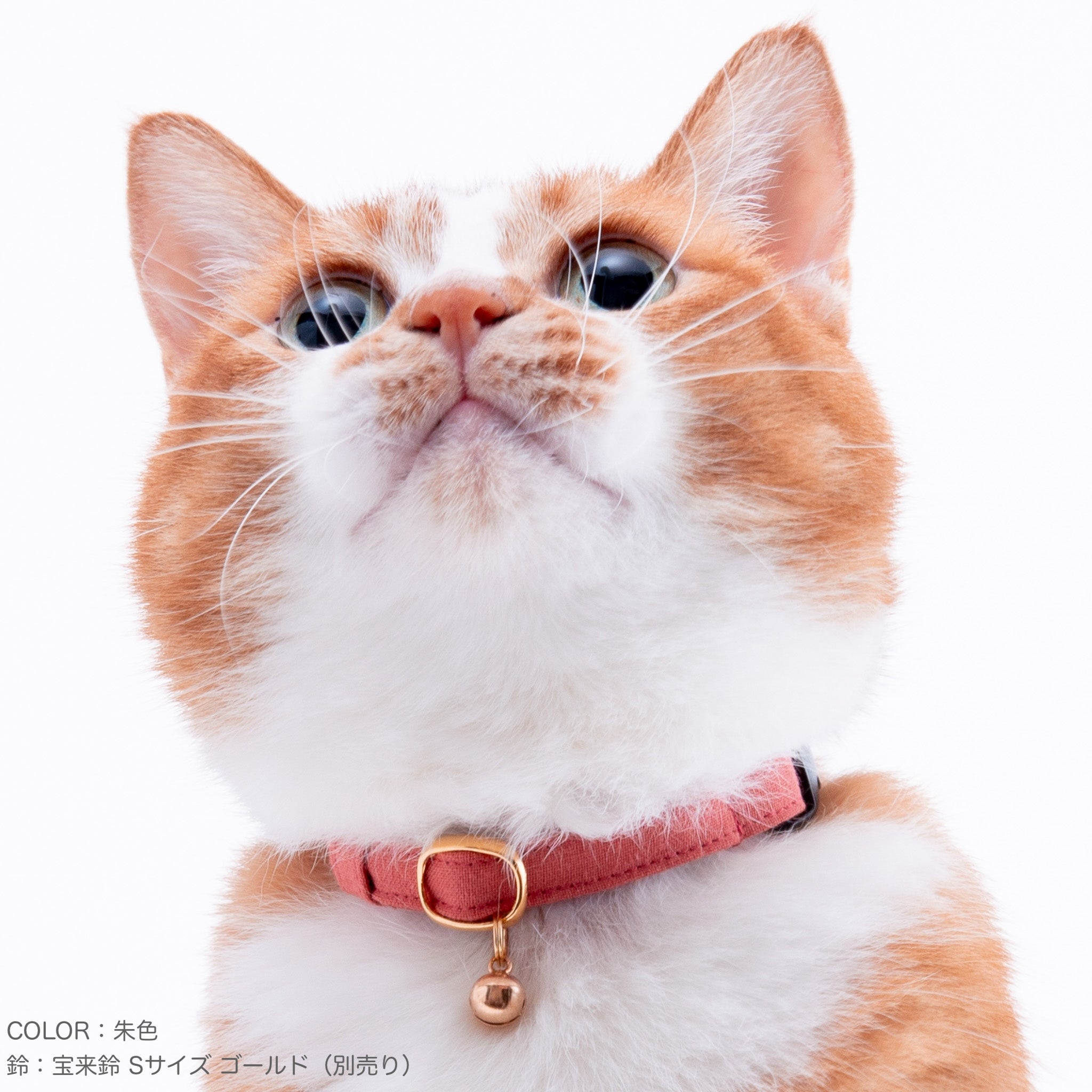 オプション取り外し可能リボン紹介ページ☆縫い付け迷子札 シュシュ猫