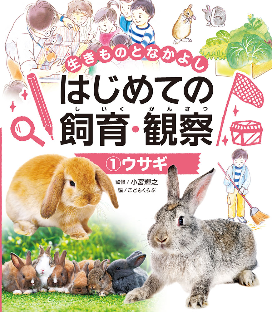 ウサギ｜生きものとなかよし はじめての飼育・観察｜自然科学｜本を