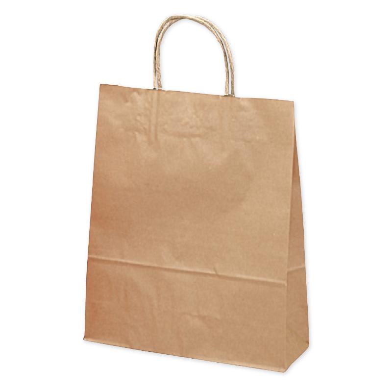 持ち帰り用紙袋 50-5100 手提げ袋 白無地 260×100×310 50P ササガワ