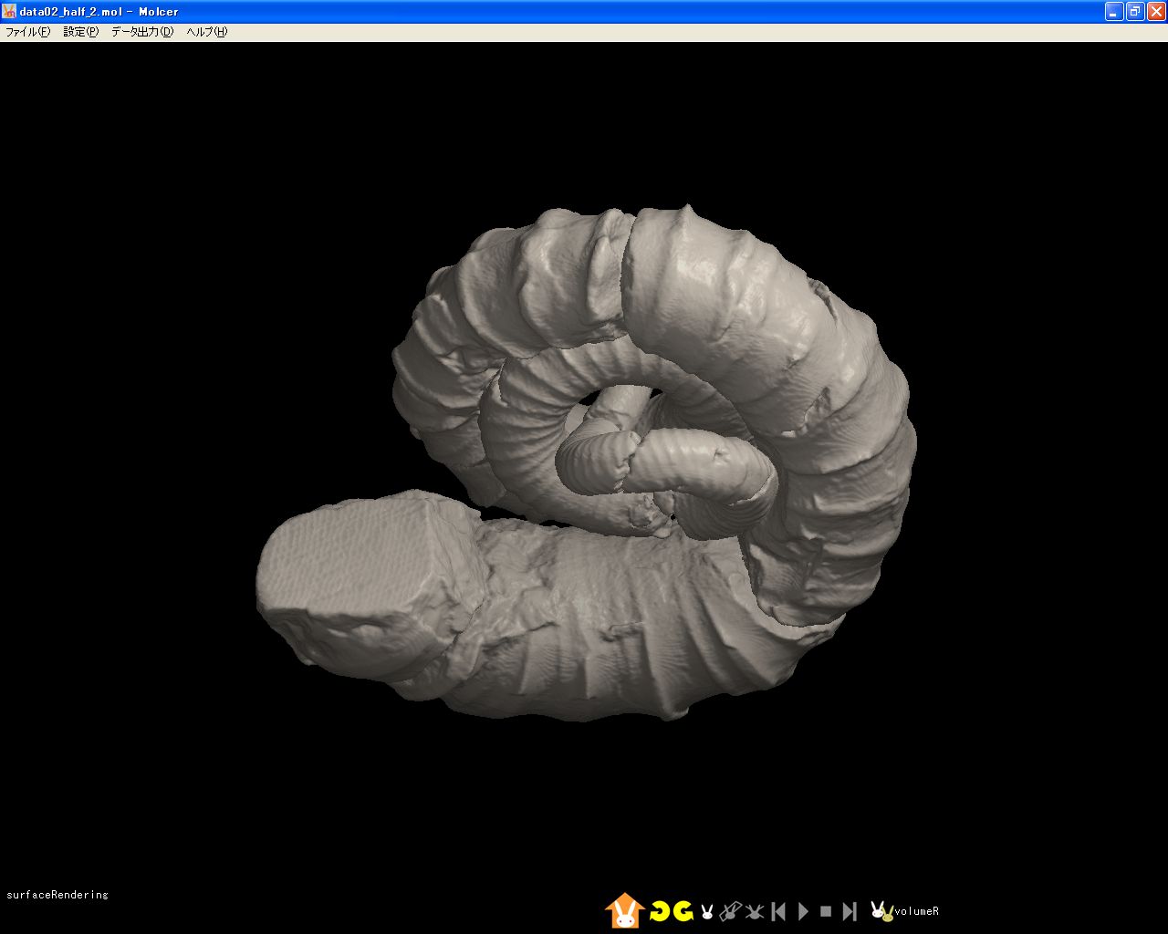 CTで見る化石の世界 －古生物の部屋