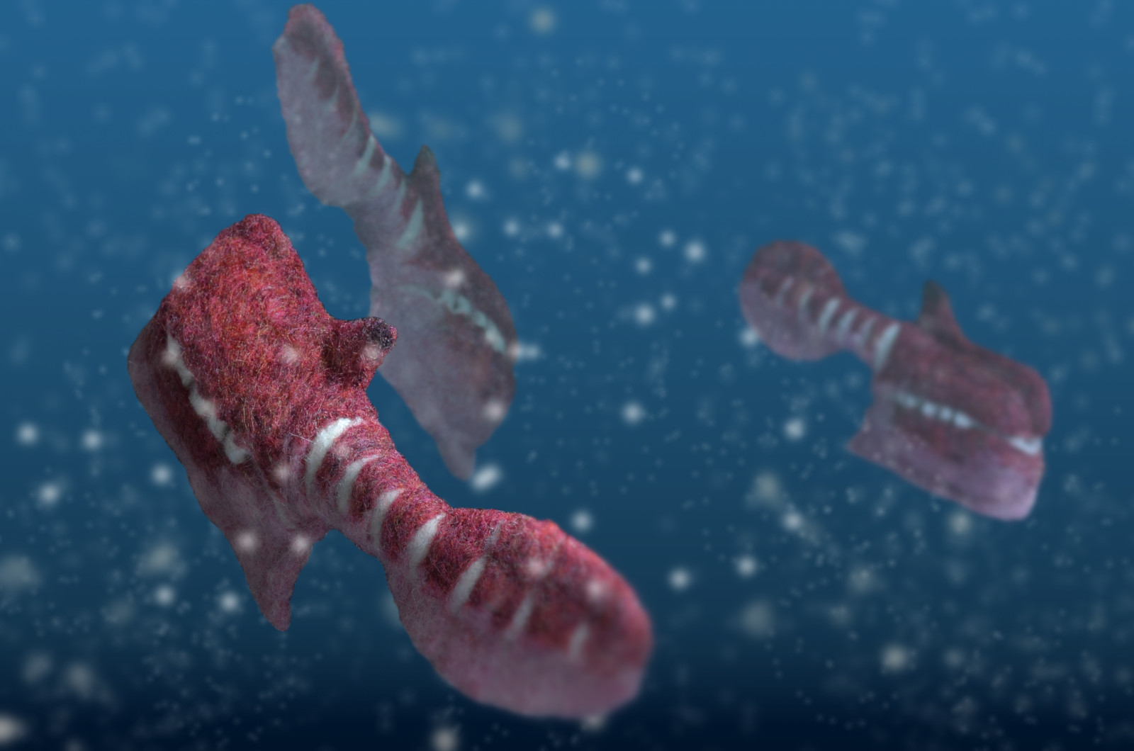 ウェツリコラ --- 古生代水族館