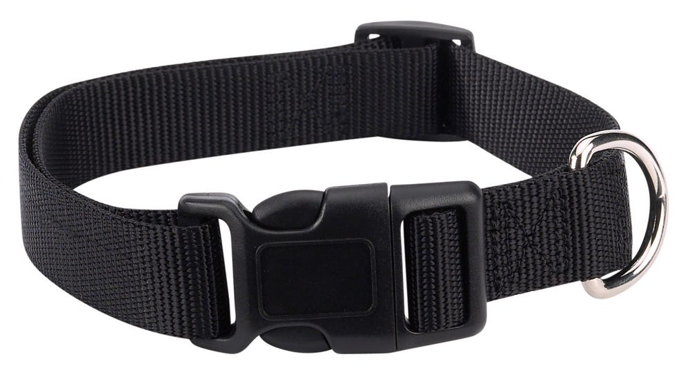 Casual Canine Classic Nylon Dog Collars