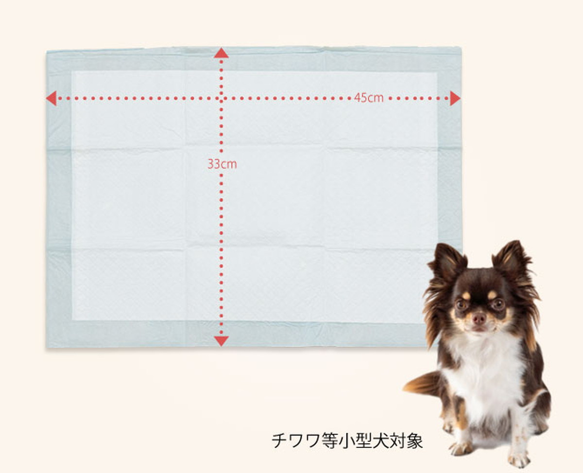 業務用 ペットシーツ 超薄型 レギュラー 1200枚/あにまるキャンパス