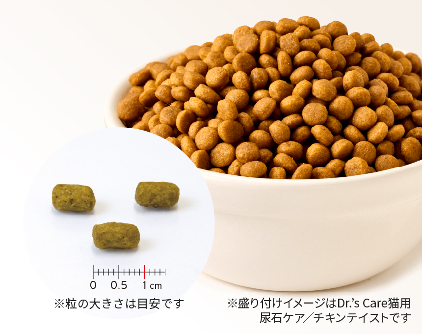 猫用キドニーケア＜フィッシュテイスト＞｜Dr.'s（ドクターズ