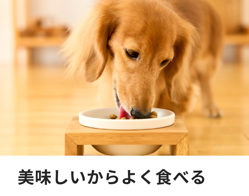 犬用ストマックケア低脂肪｜Dr.'s（ドクターズ）| ペットライン