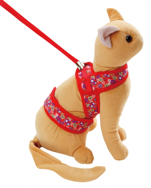 ロイヤルカナンジャポン] [ブリーダーパック] プロ HT42d スモール