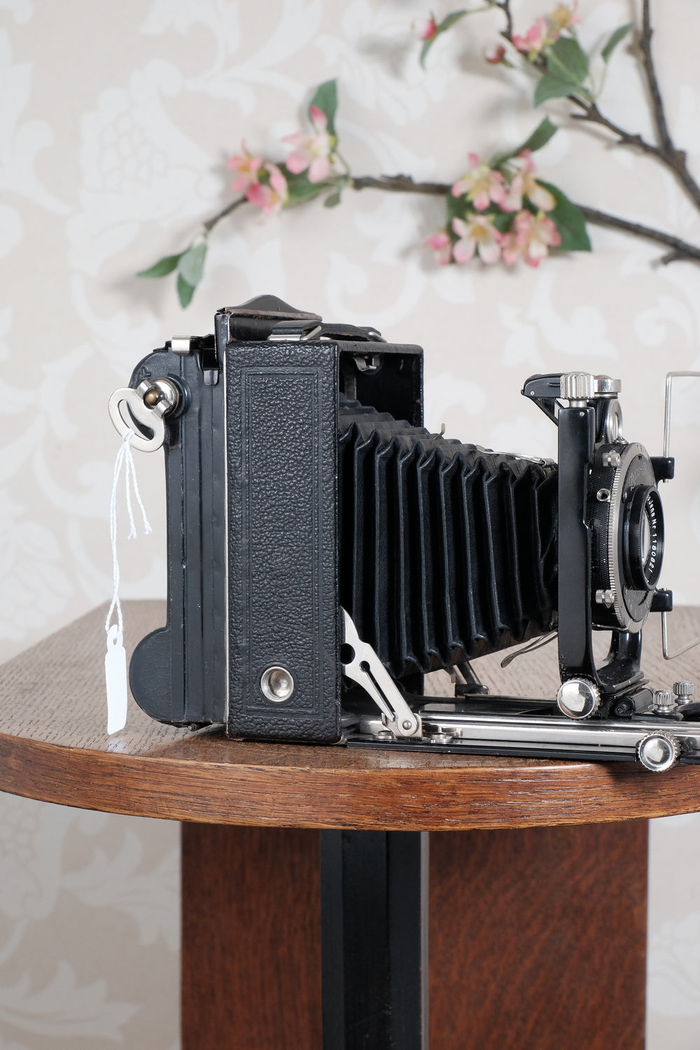 Superb! 1930 6x9 Donata 227/3 plate camera with Carl Zeiss Tessar