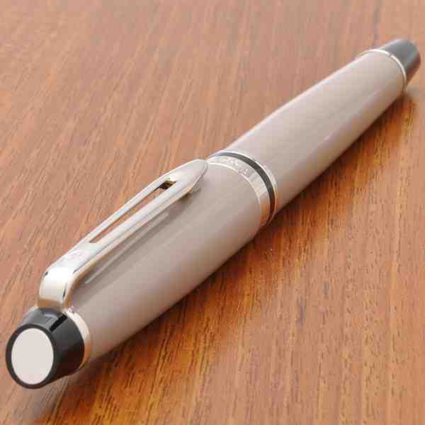 WATERMAN ウォーターマン 万年筆 エキスパート エッセンシャル トープ