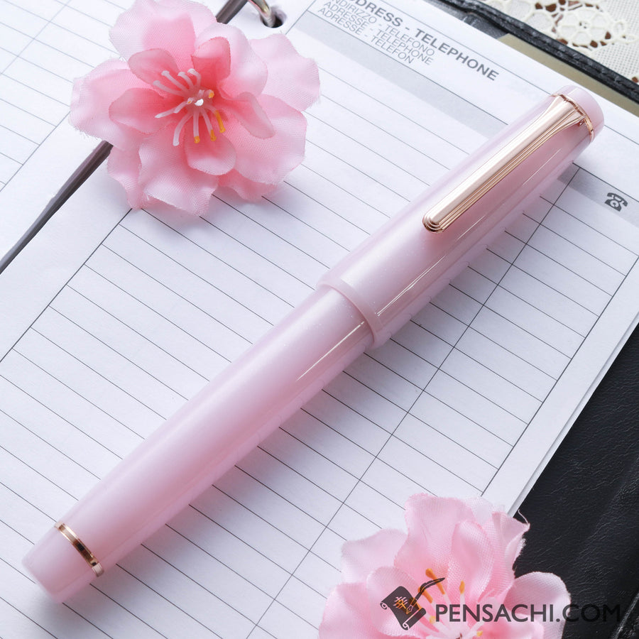 SAILOR Limited Edition Pro Gear Classic Fountain Pen