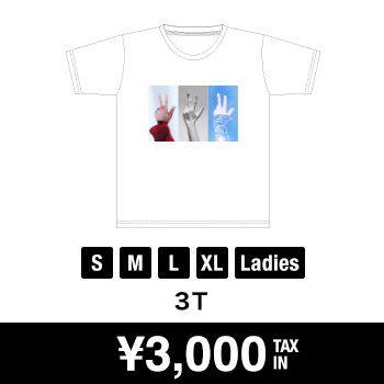 Perfume 8th Tour 2020 “P Cubed” in Dome」特設サイト