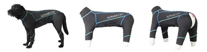 ドッグウェア「ALPHAICON」とコラボレーションいたしました。 | 公式