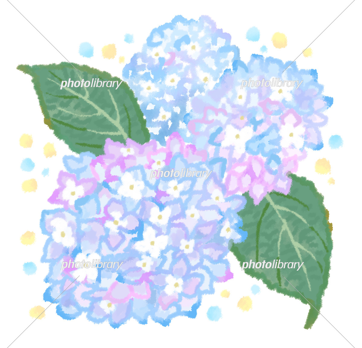 紫陽花パステル画8号 藤沢第2】7/3土曜日、特別カリキュラム
