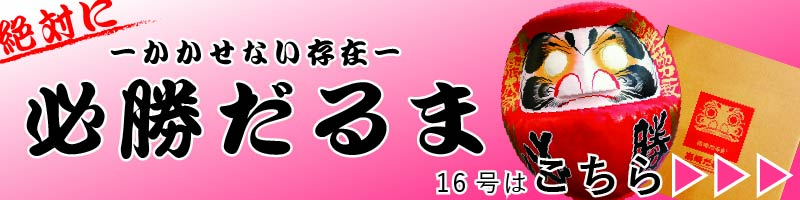 D18 必勝ダルマ 18号 高さ58cm【選挙】【名入れ込】 だるま 達磨