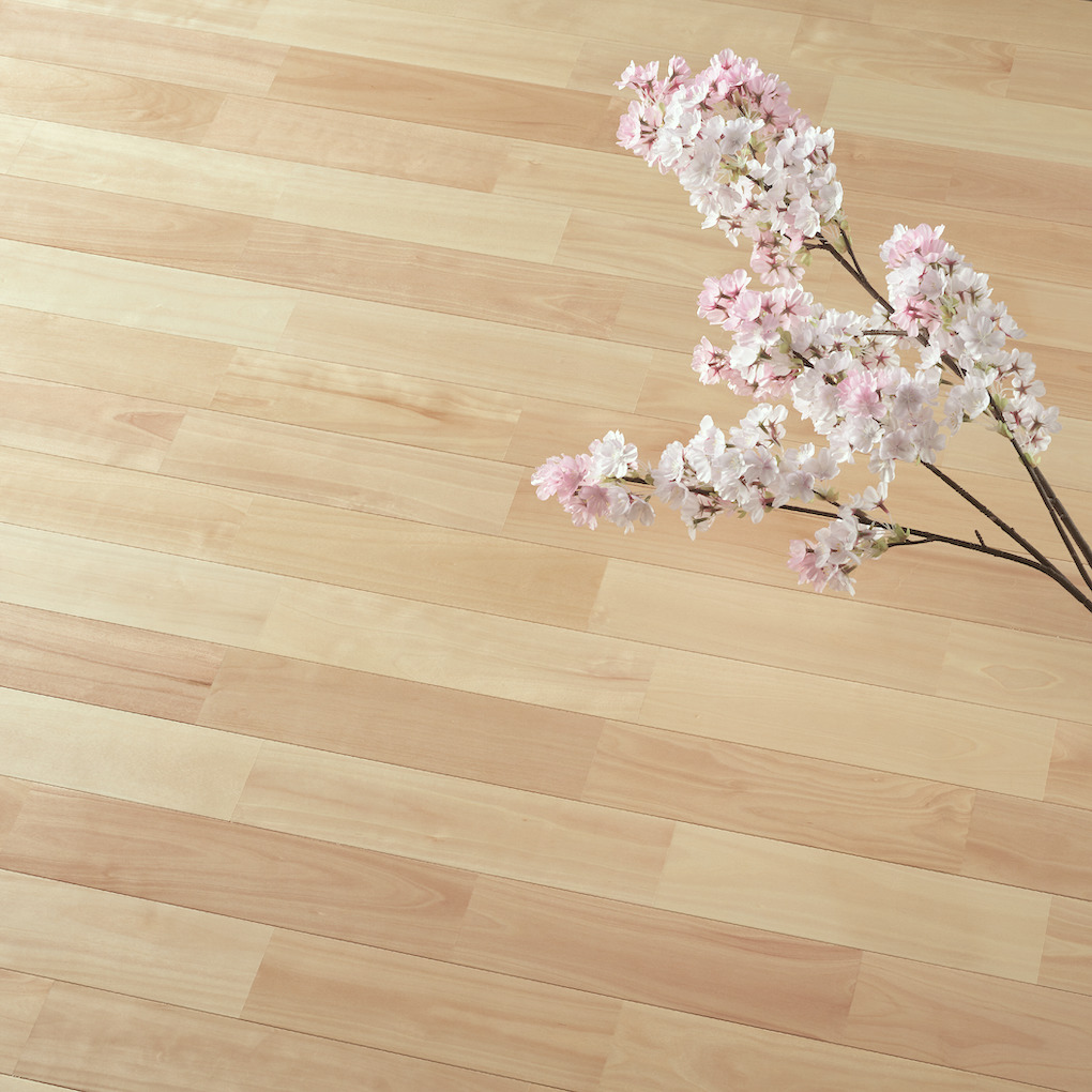 サクラ（西南カバ） 120 デラックス ウレタンつや消し塗装（クリア