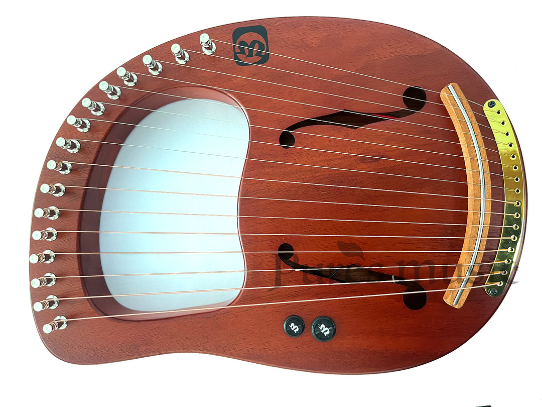 IMG_1126_1080x.jpg?v=1720508624