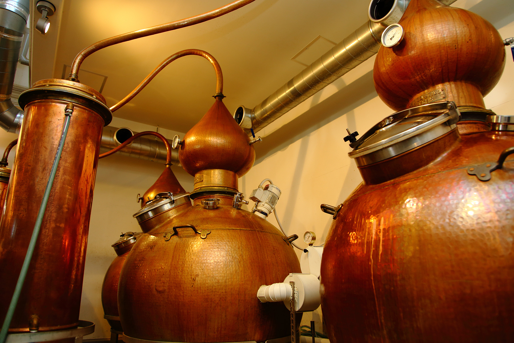 長濱浪漫ビールその他 - 長濱浪漫ビール