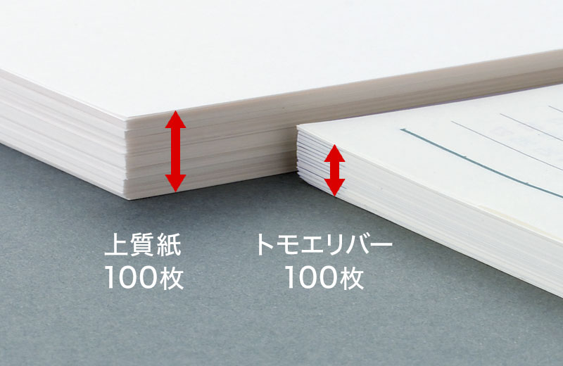 ネームカードダイアリー：2026年日付入商品カタログ：レイメイ藤井