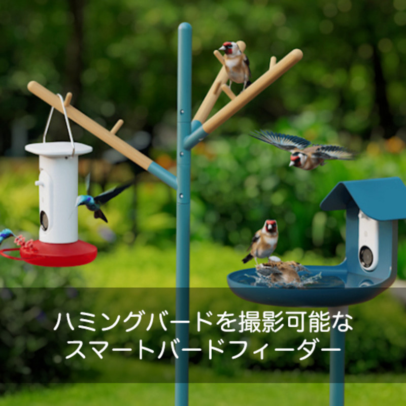 Birdbuddy ソーラールーフ付スマートバードフィーダー Amazon.com