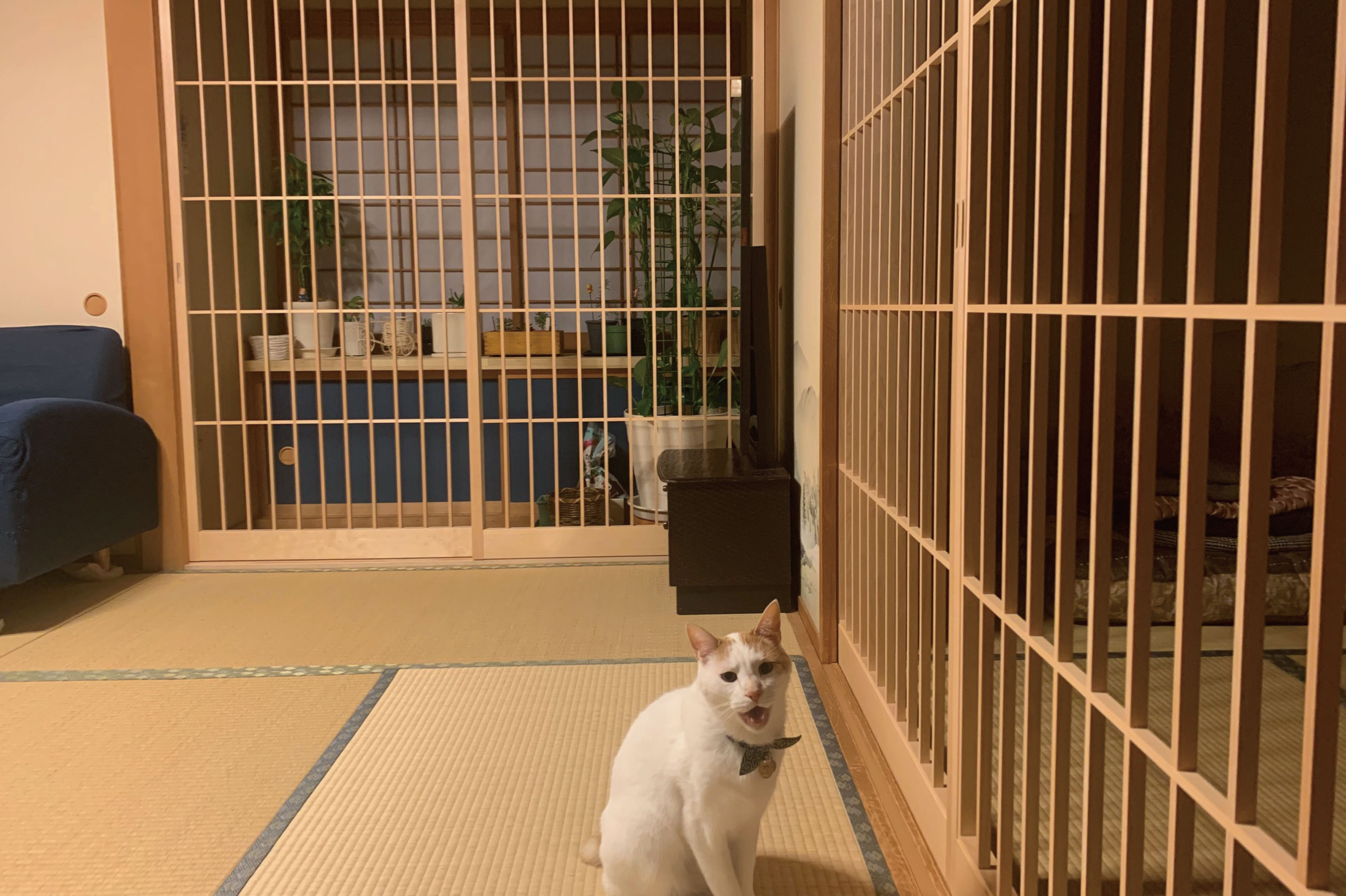 ふすまの通販】木製障子│和室リフォーム本舗－楽天市場店