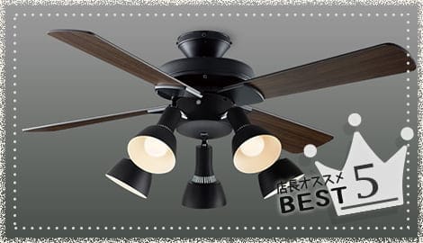 ブラック シーリングファン 2024年製 シーリングファン TKM-42BK4LKLEZ | シーリングファン | 東京メタル