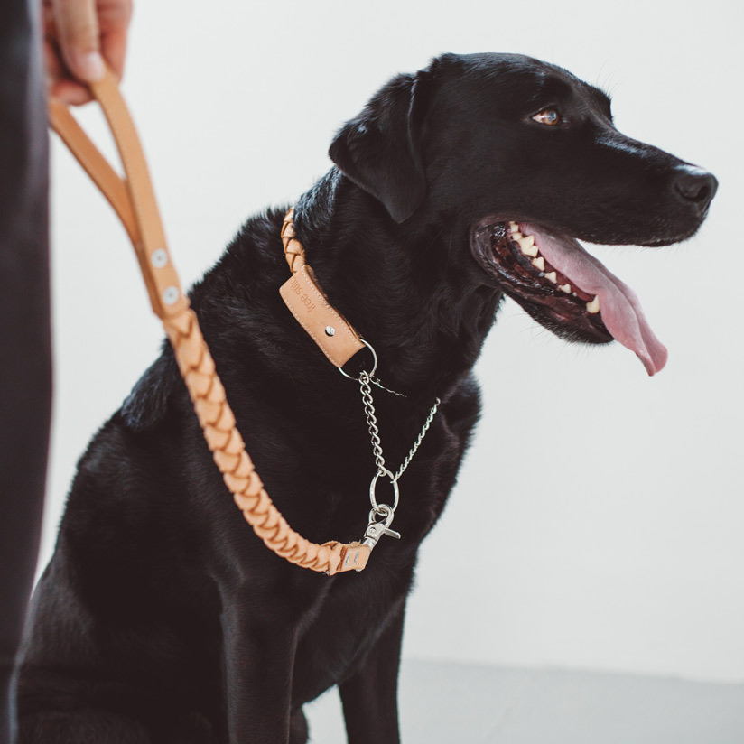 白黒　ナックル　ドッグ　リード　本革 白黒 ナックル ドッグ リード 【公式通販】