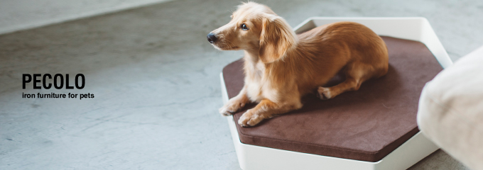 楽天市場】pecolo Pet Bed ペットベッド : フリーステッチ