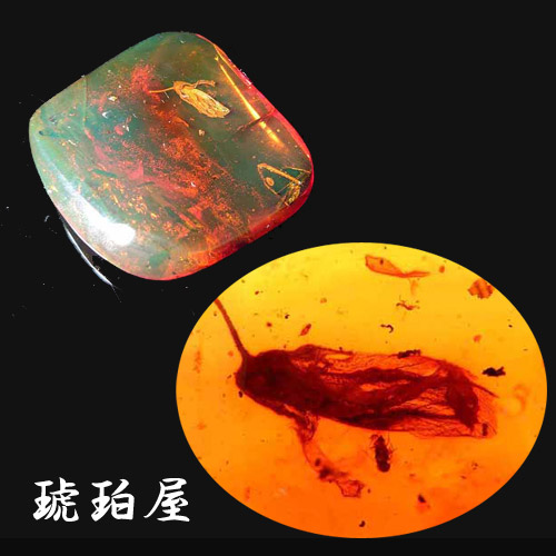 楽天市場】【動画あり】化石 虫入り琥珀原石 ルース 木の芽 葉っぱ 蜂