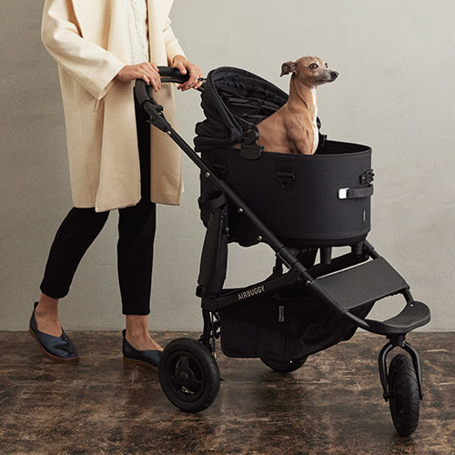 CITYDOG シティドッグ 楽天市場店