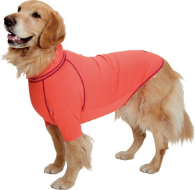 アルファアイコン ドッグガード（大型犬用ウエア）