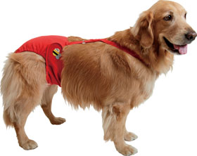 アップリケサニタリーパンツ（大型犬用）