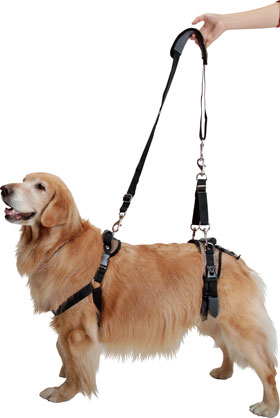 ドッグヘルパー（犬の介護用品）