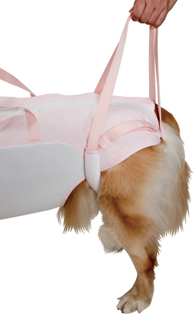 後脚付］着たままねんねのハニカムつなぎ（犬の介護用品）