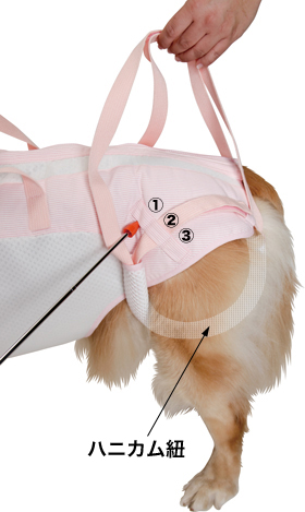 後脚付］着たままねんねのハニカムつなぎ（犬の介護用品）