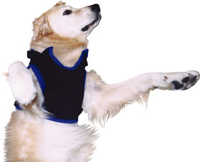 歩行補助ハーネス（介護用）