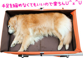 新楽楽介護カート（大型犬用カート）