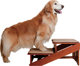 木製2wayステップ アドバンス