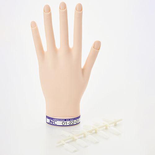 rednails web channel / STモデルハンド セット(JNEC 第1期認定モデル