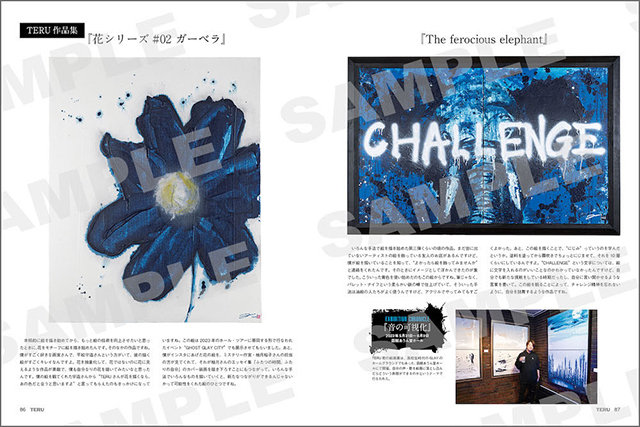 本人使用モデル】GLAY TERU ピック 本人使用モデル】GLAY TERU ピック