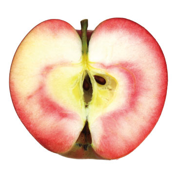 美紅（みく）・HFF33 - りんご大学