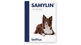 株式会社ワールドエクイップス