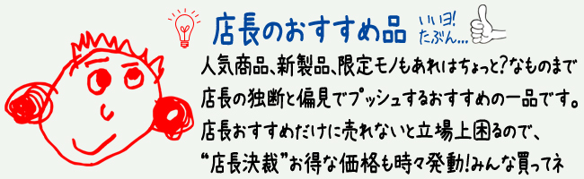 EDWARDS エドワーズ E-K-130VP【ディル・アン・グレイ 薫モデル
