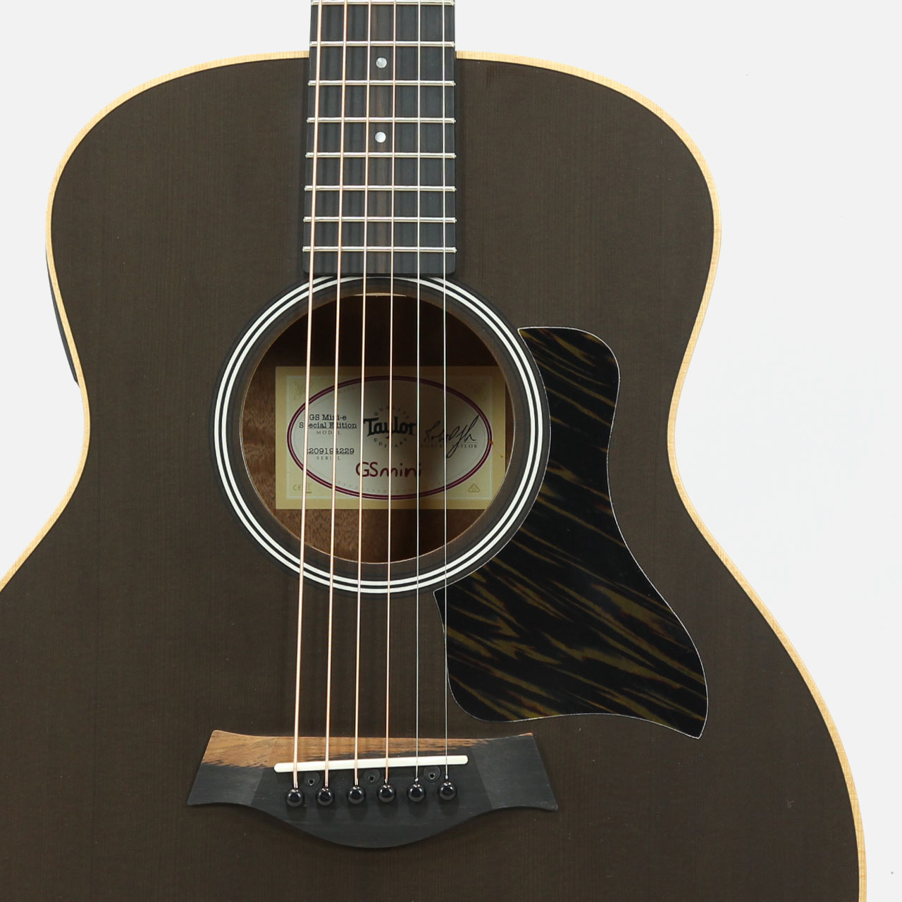 Taylor テイラー GS Mini-e Special Edition Trans Black 特価品 限定