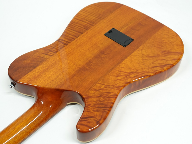 SCHECTER シェクター Oriental Line OL-FL / BLK < Used / 中古品