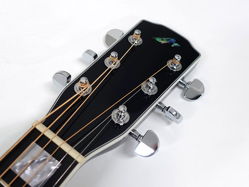 Morris モーリス R-15 MO 【OUTLET】 | ワタナベ楽器店 大阪店