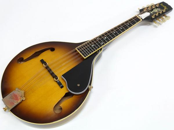 Blue Bell F-15 高級フラットマンドリン 飴色塗装 フジゲン製造 BLUE BELL F-15|ドルフィンギターズ