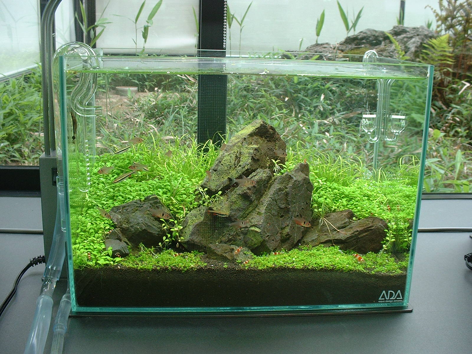 ADA 万天石 【公式通販】