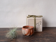 備前焼わかくさ】横山 直樹 作品一覧